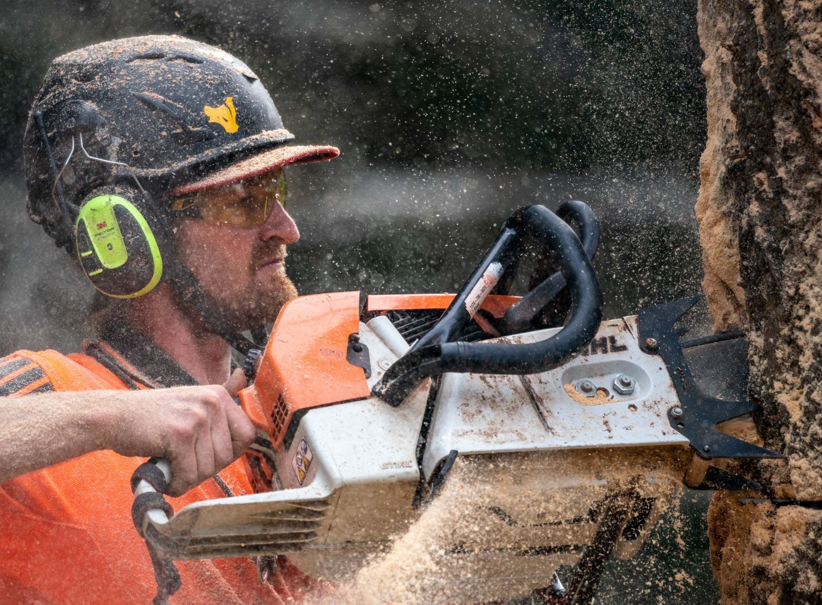 3-Point Westcoast Saw® Felling Dogs